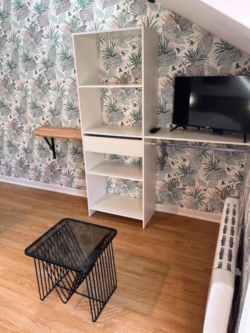 Studio Duplex Hypercentre Au Calme Avec Parking 枫丹白露 外观 照片